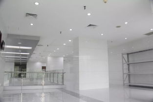 中深裝集團(tuán)精品工程丨深圳市政府采購中心集中采購平臺裝飾工程